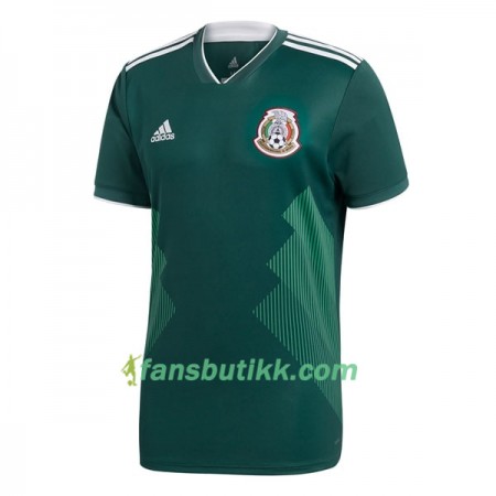 Fotballdrakt Mexico Hjemmetrøye 2018